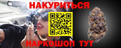крисы Кунгур