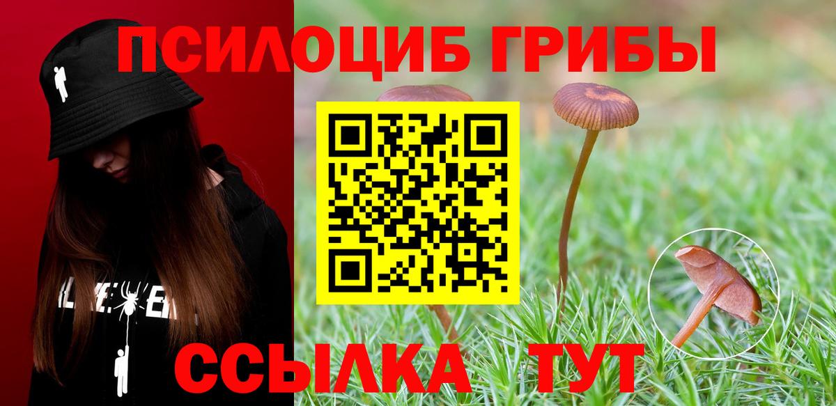Псилоцибиновые грибы Cubensis Альметьевск