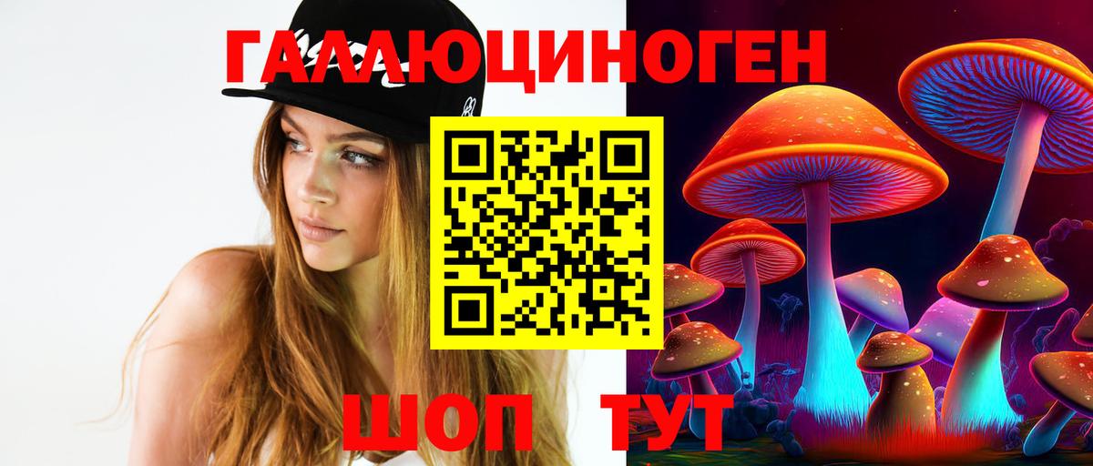 Альметьевск  Галлюциногенные грибы Psilocybine cubensis  Вход с VPN 